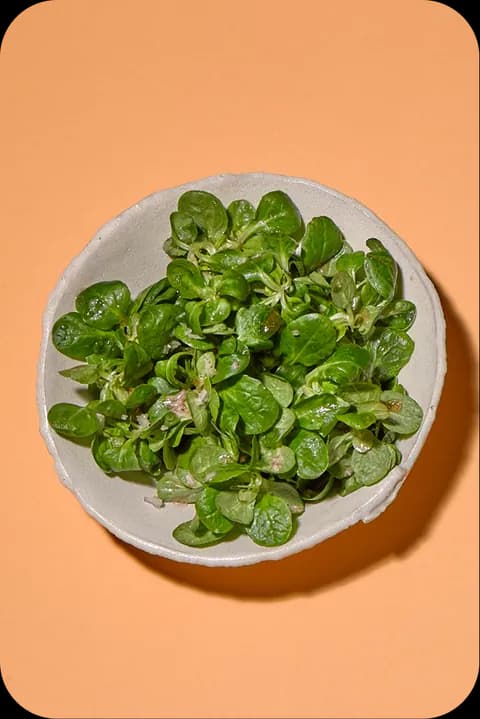 Feldsalat – FoodDude